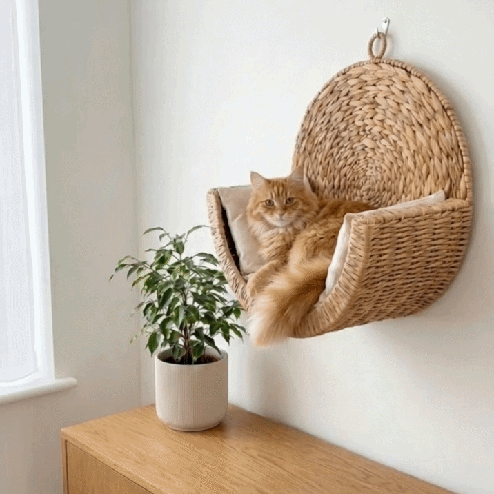 ChillCat