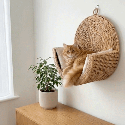 ChillCat
