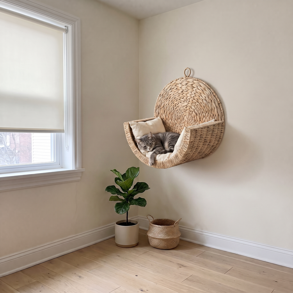 chillcat-after-corner